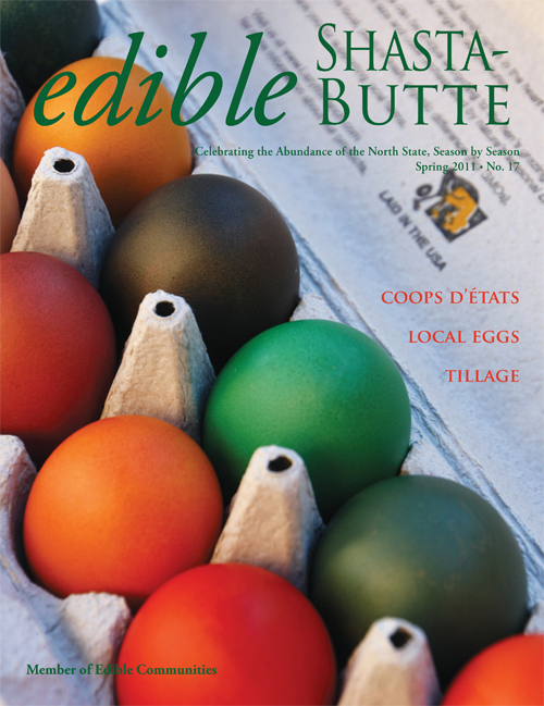 esb17_cover_150dpi