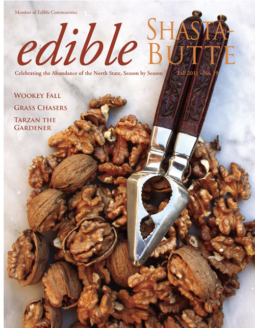 fall2011cover