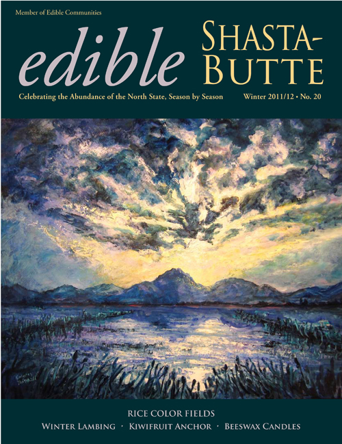 esb20frontcover_72dpi