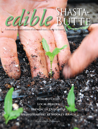 cover_frontesb21_100dpi