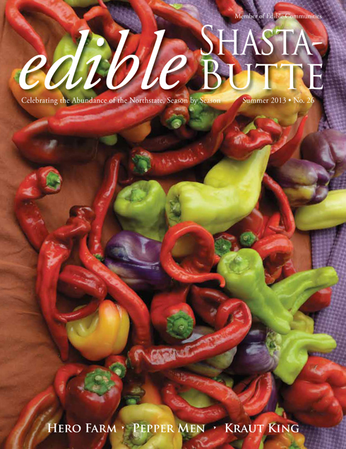esb26_frontcover_72dpi