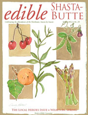 Spring 2014 Issue