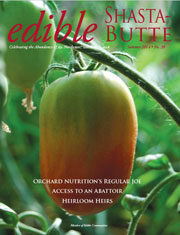 Summer 2014 Issue