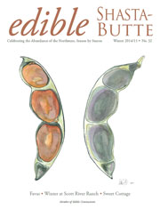 Winter 2014 Issue